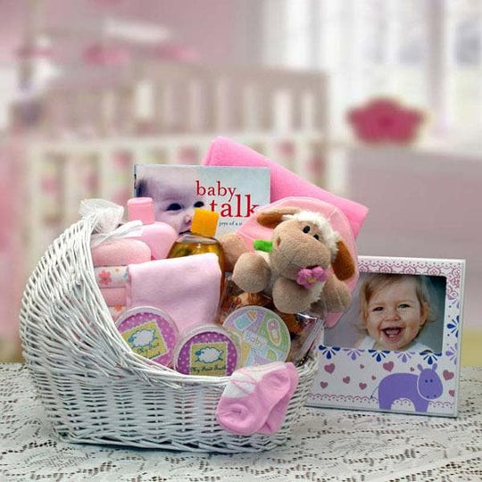 Family Baby Girl Gift Basket  Stork Baby Gift Baskets –