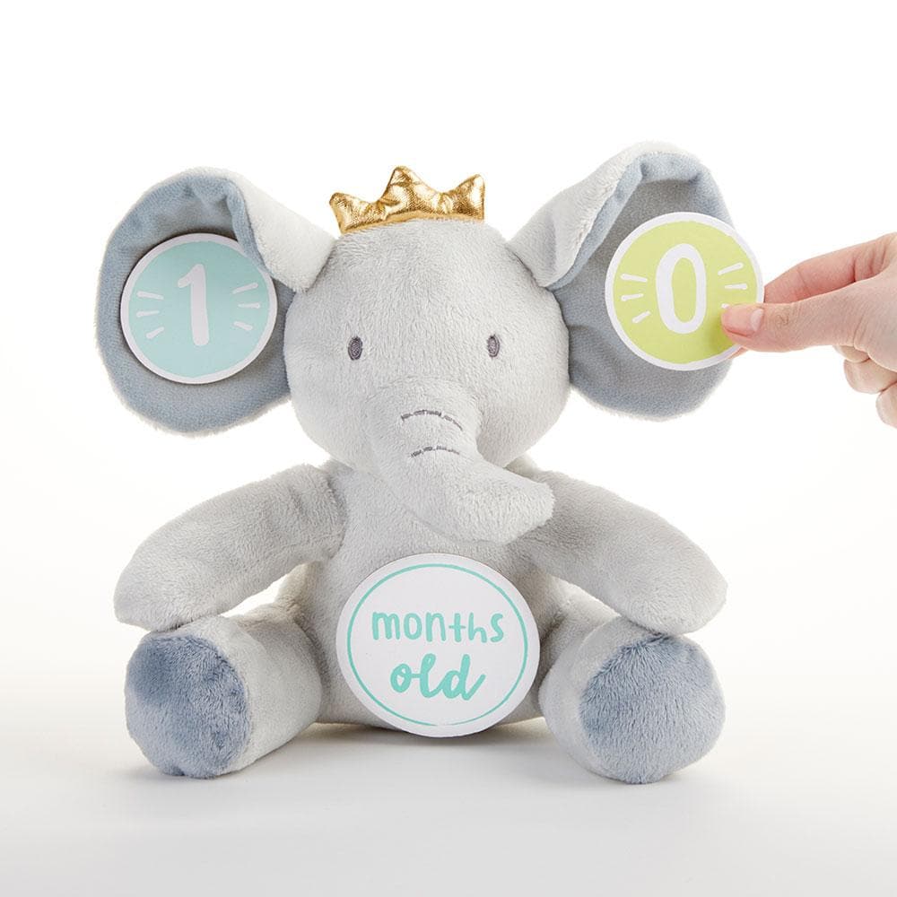 My First Elephant Plush Plus Baby Milestone Markers