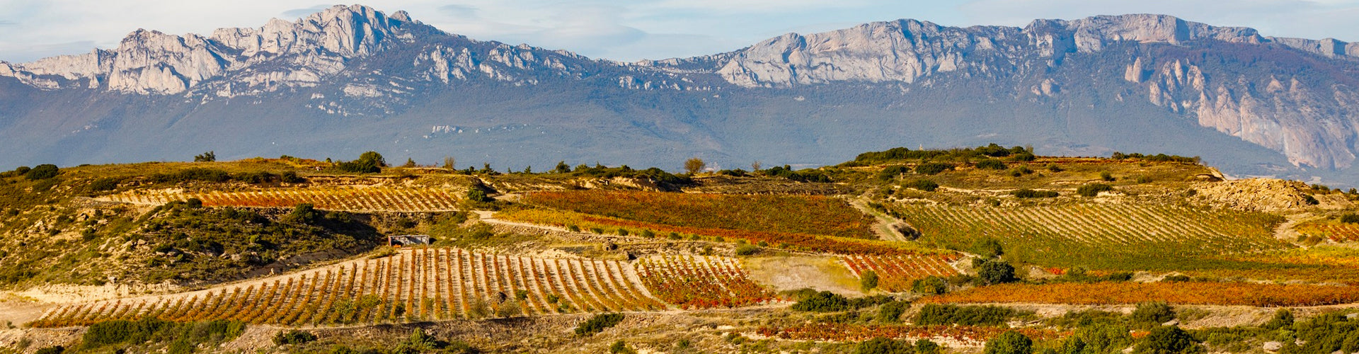 Bodegas Bideona Vineyards in Rioja Alavesa