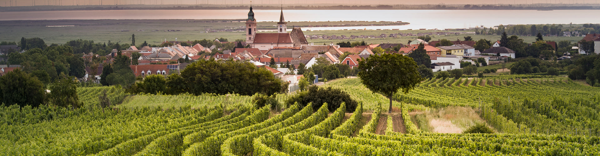 Ried Plachen, Rust, Leithaberg, Burgenland