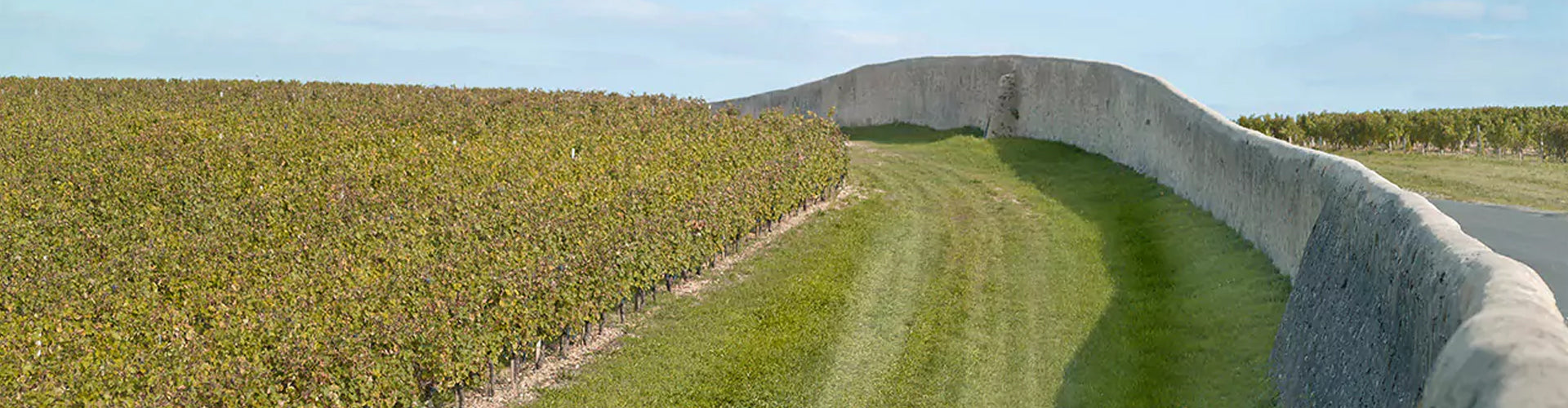 Château Calon Ségur Walled Vineyard in Saint Estèphe, Bordeaux