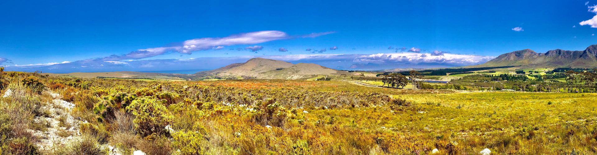 The Cap Maritime property at Upper Hemel-en-Aarde, Walker Bay in South Africa