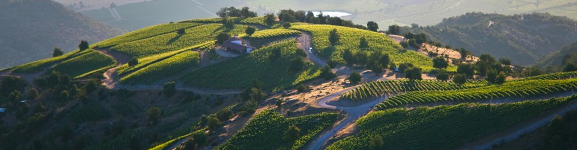 Central Valley Vineyards of Chile