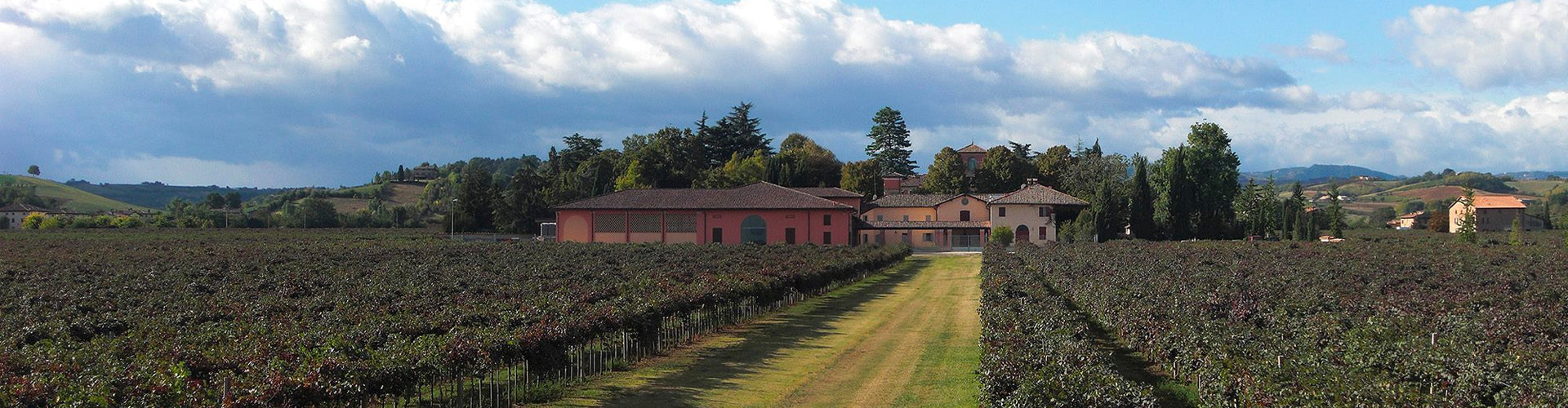 Cleto Chiarli Winery & Vineyards in Emilia-Romagna