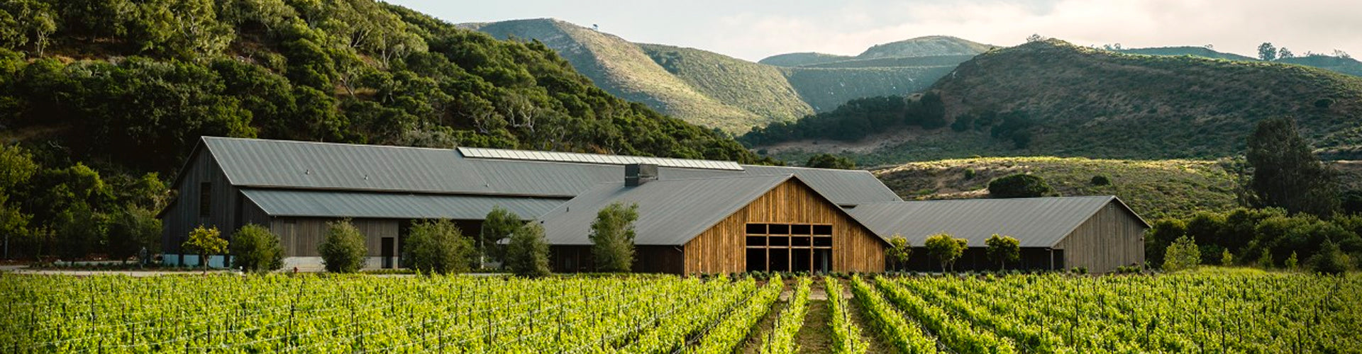 The Hilt Estate in Santa Rita Hills, California