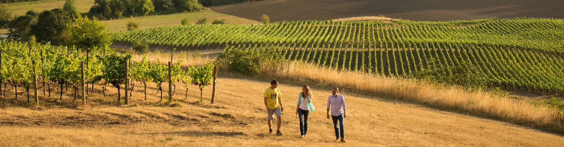 The Domaine Nicolas Jay Team Walking the Vineyards