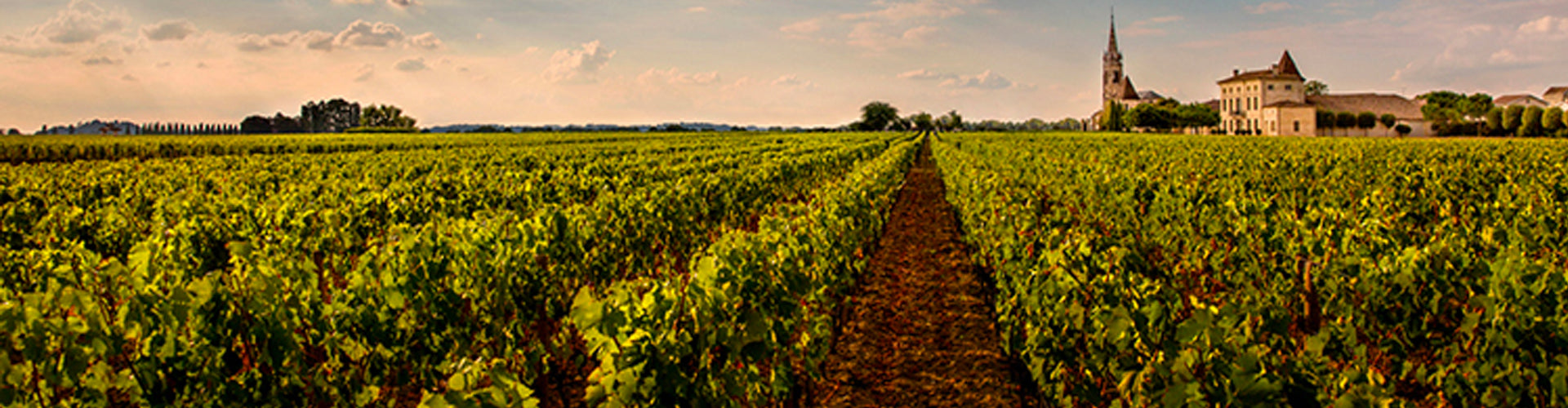 Château La Fleur-Pétrus Vineyards in Pomerol