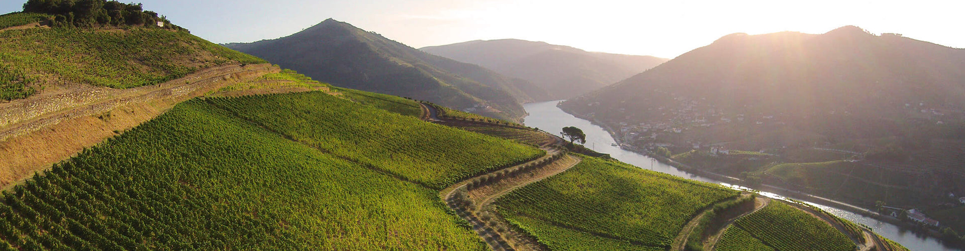 Quinta dos Murças Vineyards in the Douro Valley, Portugal