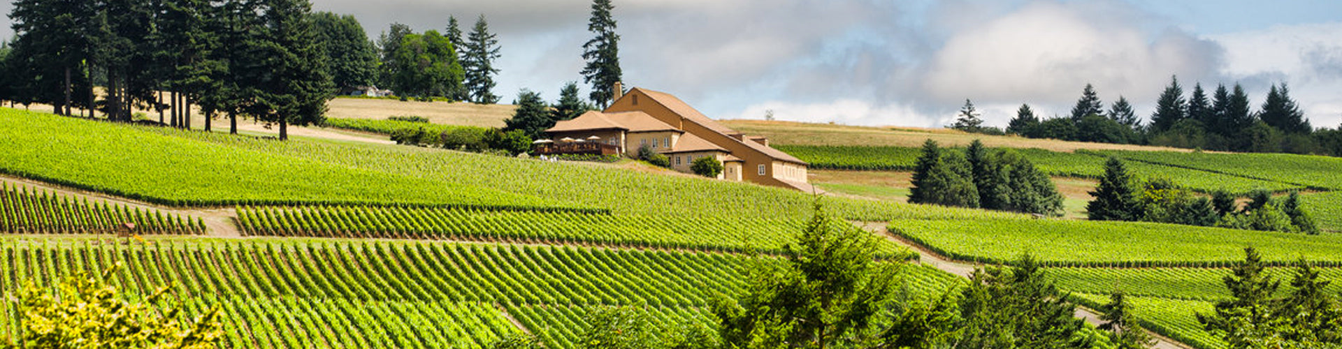 Domaine Drouhin Winery at Dundee Hills in Oregon