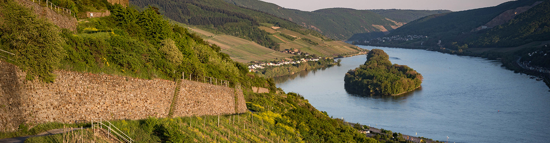 Eva Fricke Vineyards on the Rheingau in Germany