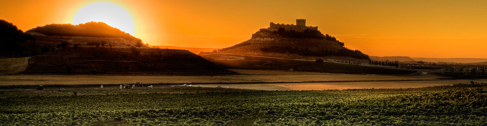 The Ribera del Duero Wine Region in Castilla y León, Spain