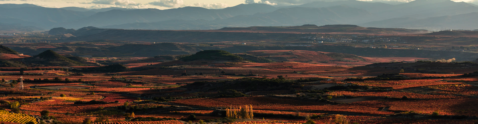 Panoramic view of the vineyards of Laguardia in Rioja Alavesa Spain