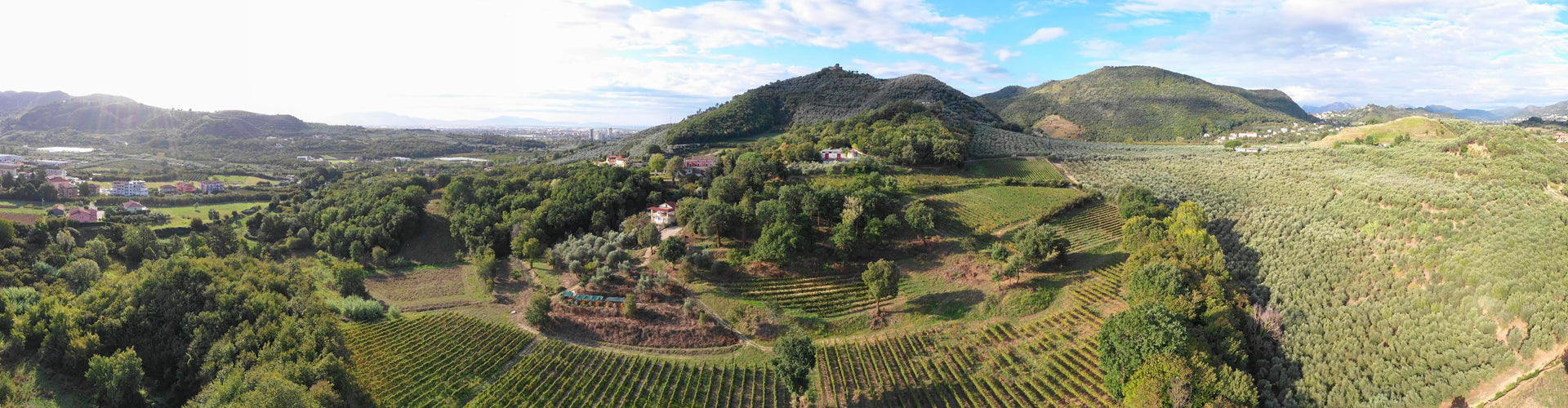Montevetrano Estate and Vineyards in Campania, Italy