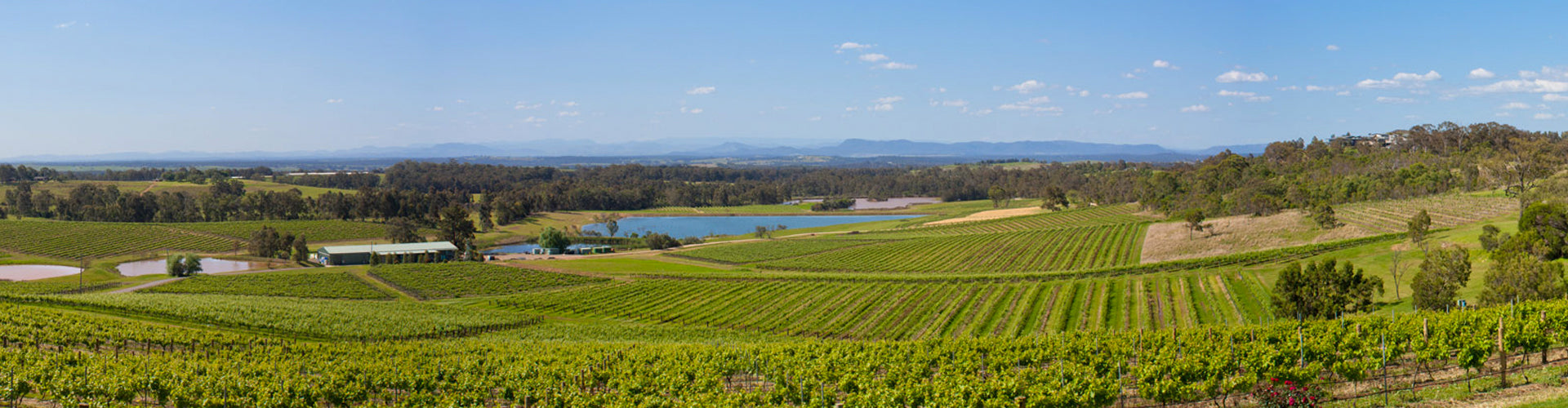 Hunter Valley Vineyards in Australia's New South Wales