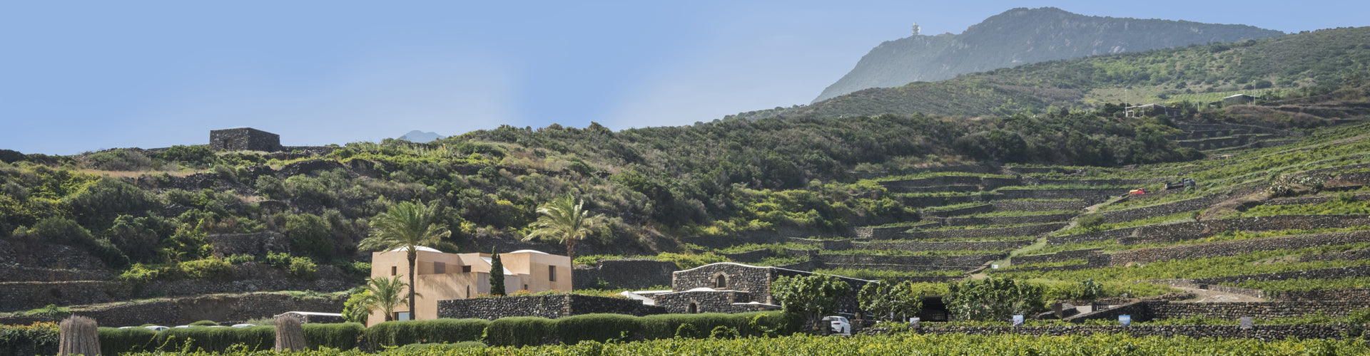 Donnafugata Vineyards in Pantelleria