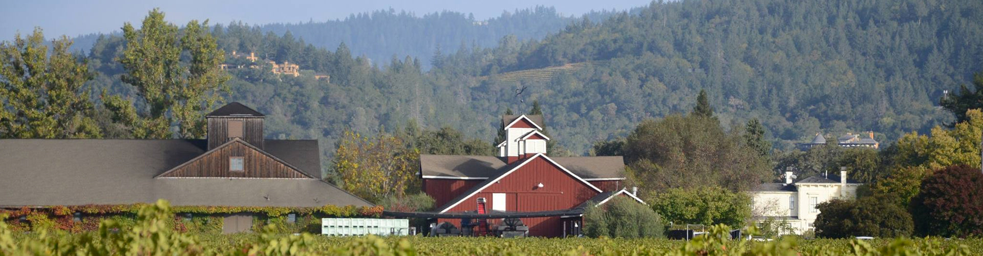 Frog's Leap Winery in the Napa Valley, California