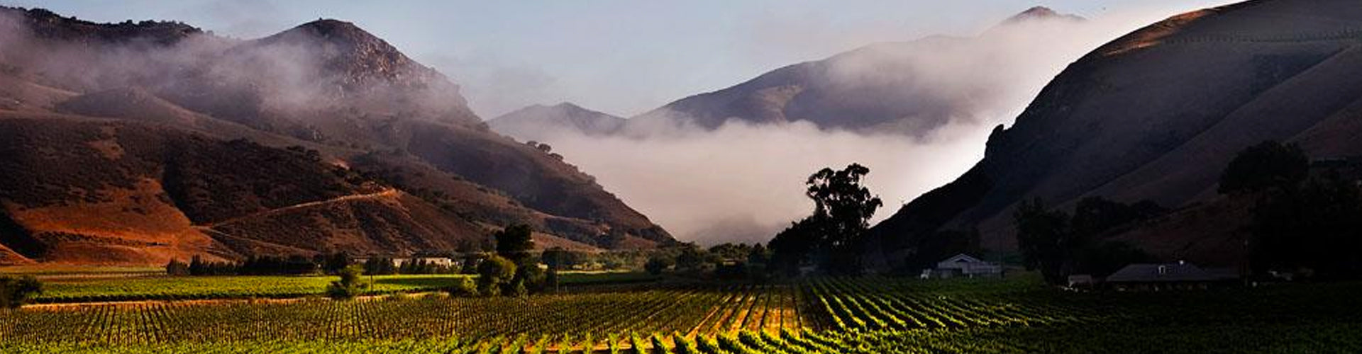 Santa Maria Valley Vineyards in Santa Barbara County, California