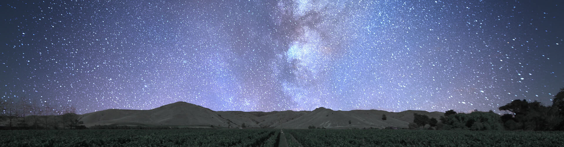 Leftfield Estate vineyards in Hawkes Bay under the stars at night.