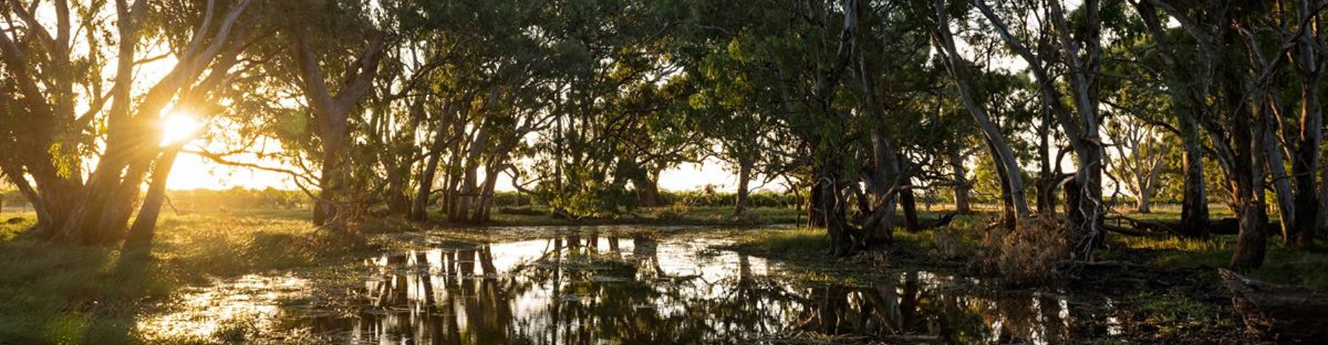 Langhorne Creek South Australia