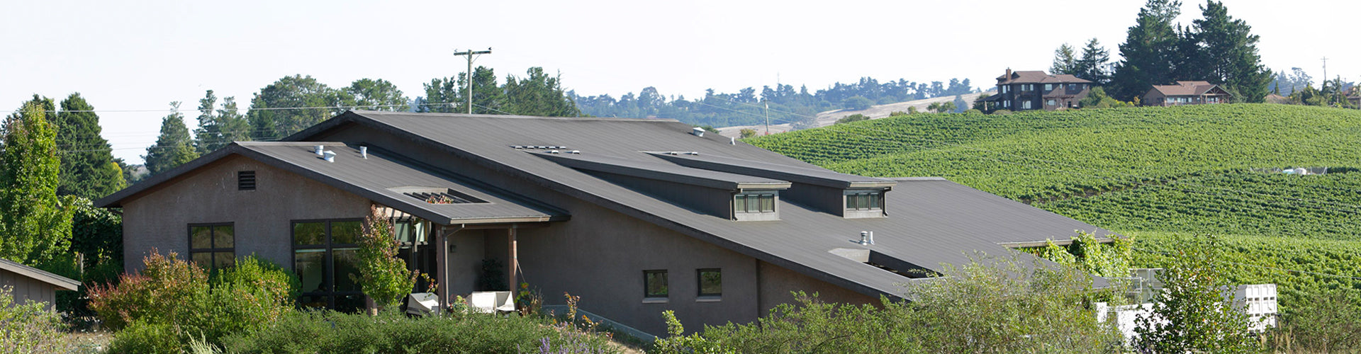 Littorai Winery & Vineyards in Sonoma County, California