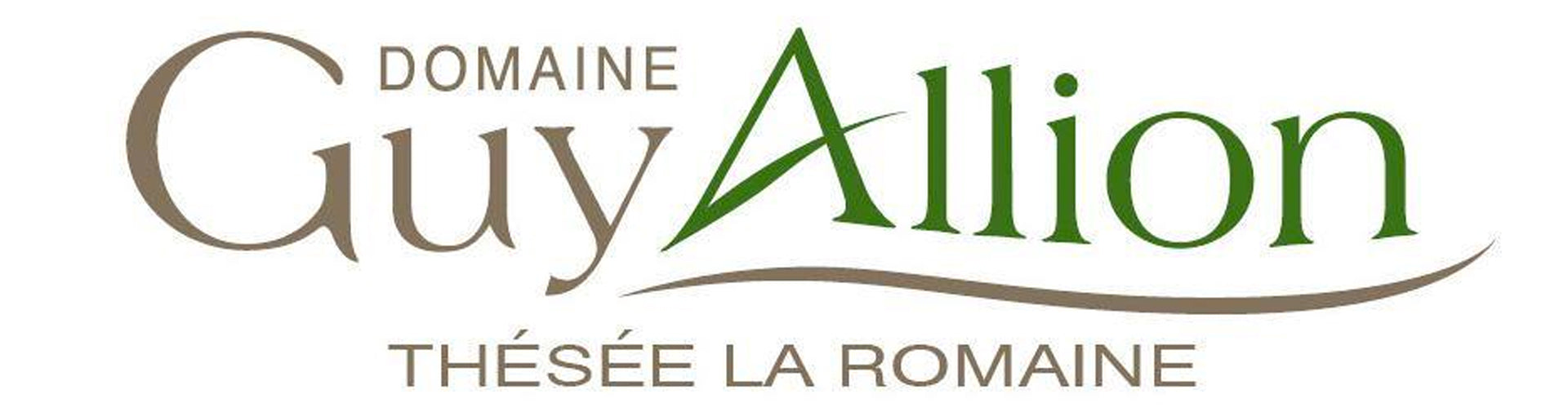 Domaine Guy Allion Logo Banner