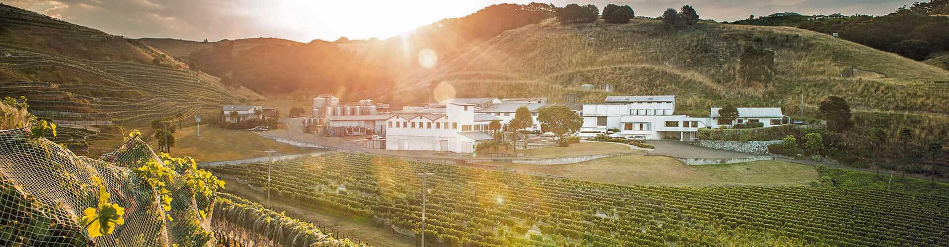 Esk Valley Wine Estate in Hawekes Bay, New Zealand