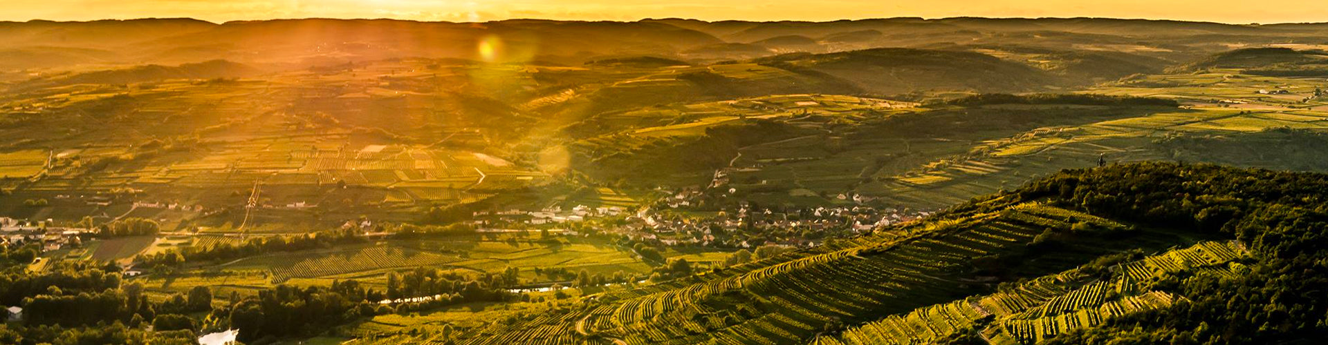 Weingut Bründlmayer vineyards in Kamptal, Austria
