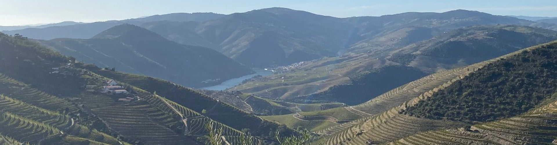 View from Quinta da Gricha over the Douro Valley in Portugal