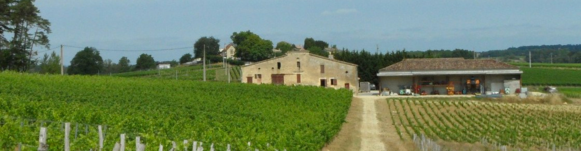 Domaine de L'Aurage Winery Côtes de Castillon