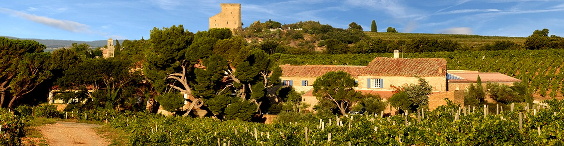 Vineyards of Domaine de la Solitude in Châteauneuf-du-Pape