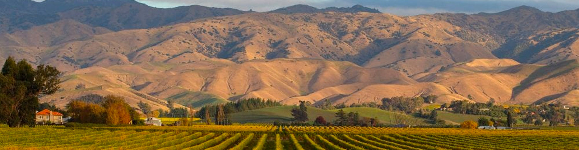 Rimapere Estate in Vineyards in Rapaura, Marlborough