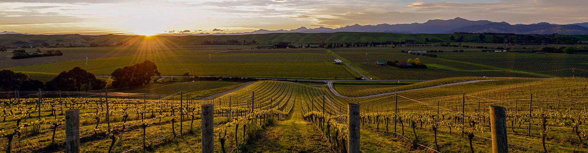 Greywacke Vineyards in Marlborough, New Zealand