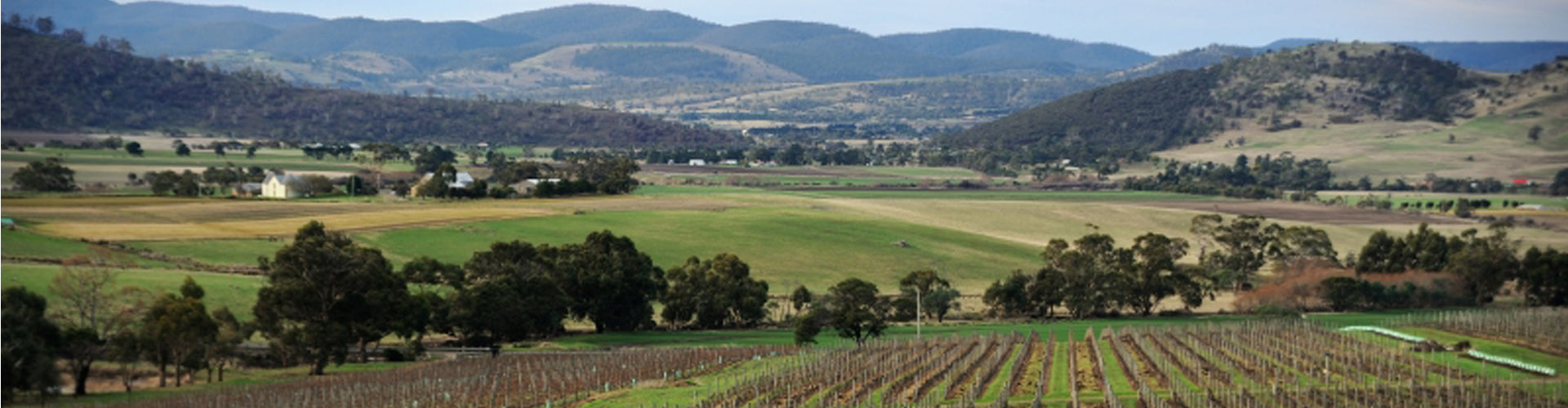 The Tolpuddle Vineyard in Tasmania's Coal River Valley