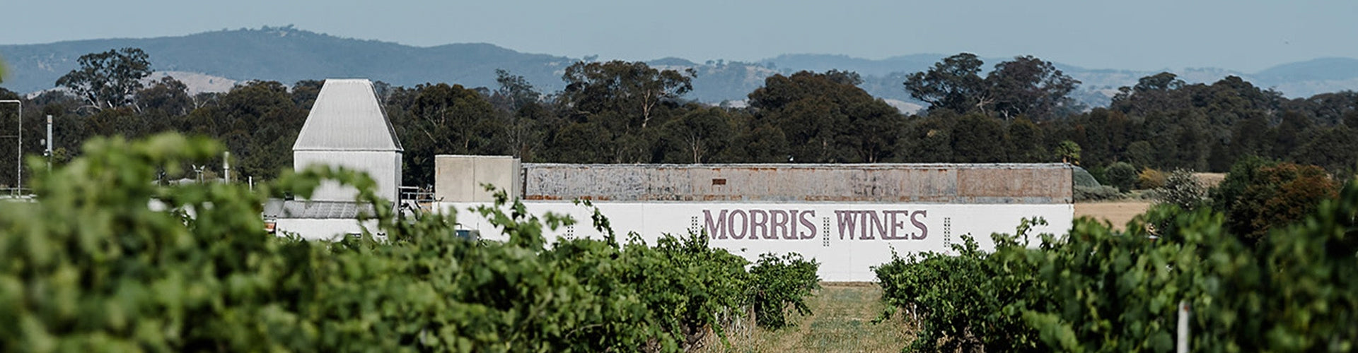 Morris Wines Winery & Vineyards in Rutherglen, Victoria