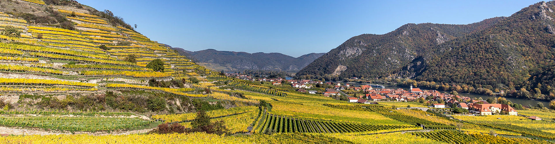 Rudi Pichler Vineyards in the Wachau region of Austria