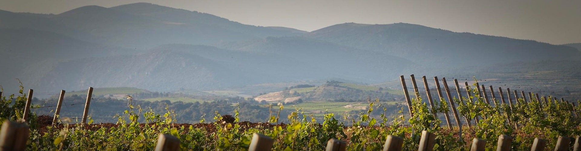 Domaine de L'Ostal Vineyards in the Minervois region of Languedoc, France