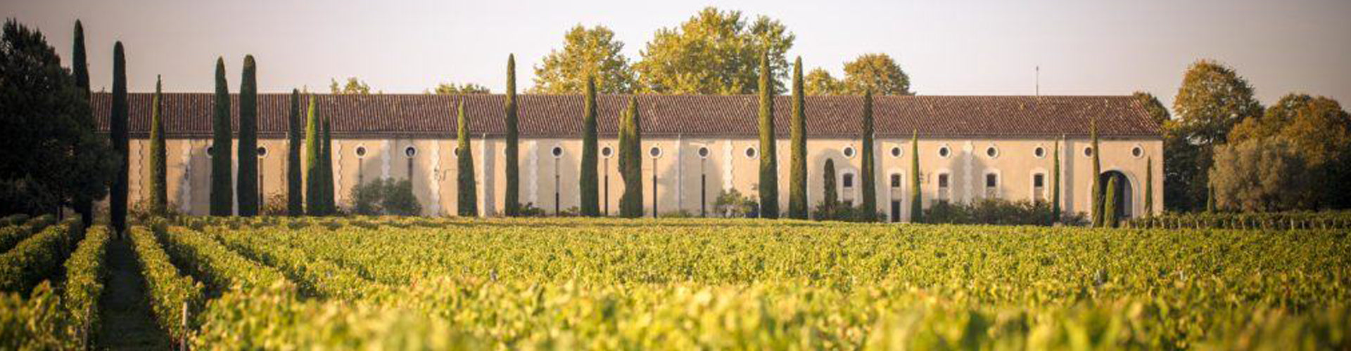 View of Château Clarke winery buildings from the vineyards