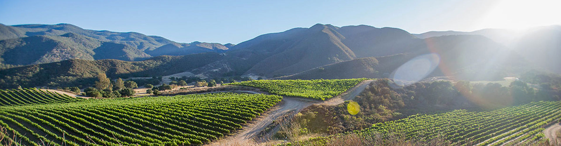 Pisoni Vineyards in Monterey County's Santa Lucia Highlands