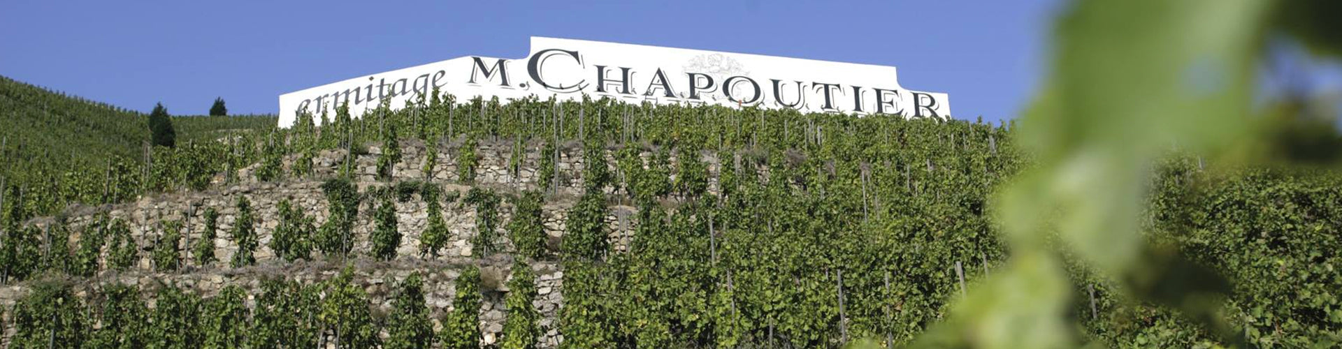 M. Chapoutier Ermitage Vineyards in the Northern Rhône