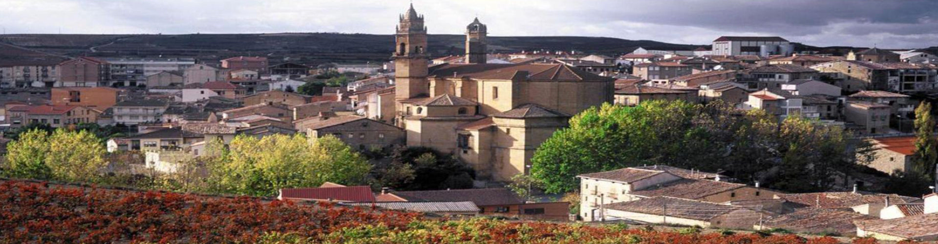 Bodegas Viña Eguía in Elciego, Spain
