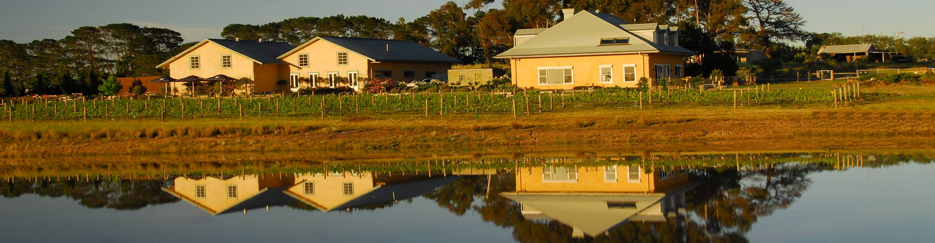 Lethbridge Winery in the Geelong region of Victoria, Australia