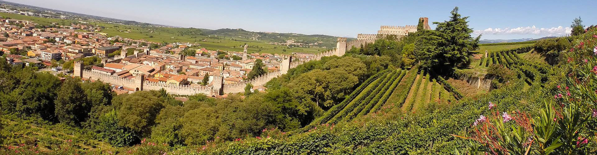 Pieropan Vineyards in Soave