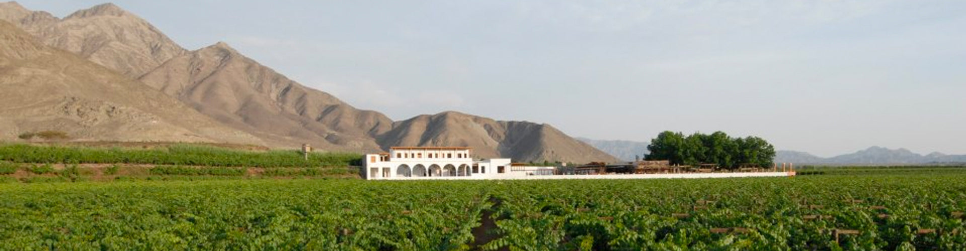 Intipalka Winery in Peru