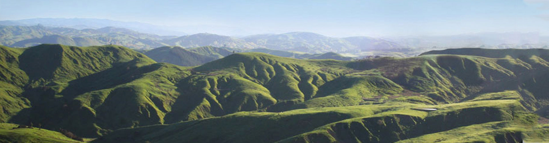 Borthwick Vineyards Wairarapa, New Zealand