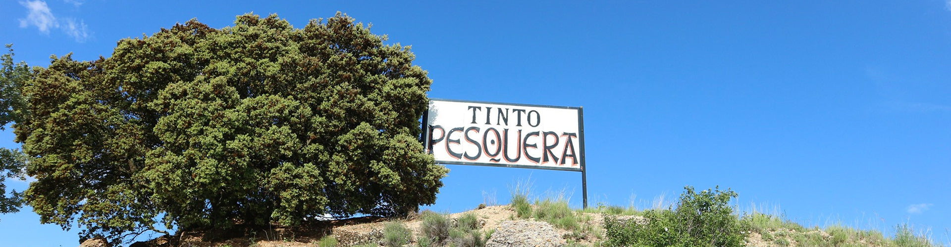 Tinto Pesquera Vineyard Marker Sign ontop a Hill