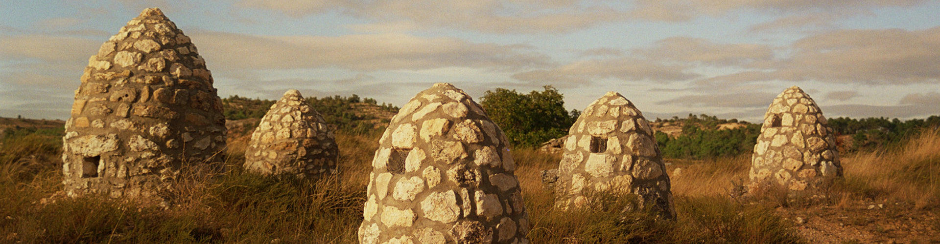 Traditional stone huts in Ribera del Duero Vineyards