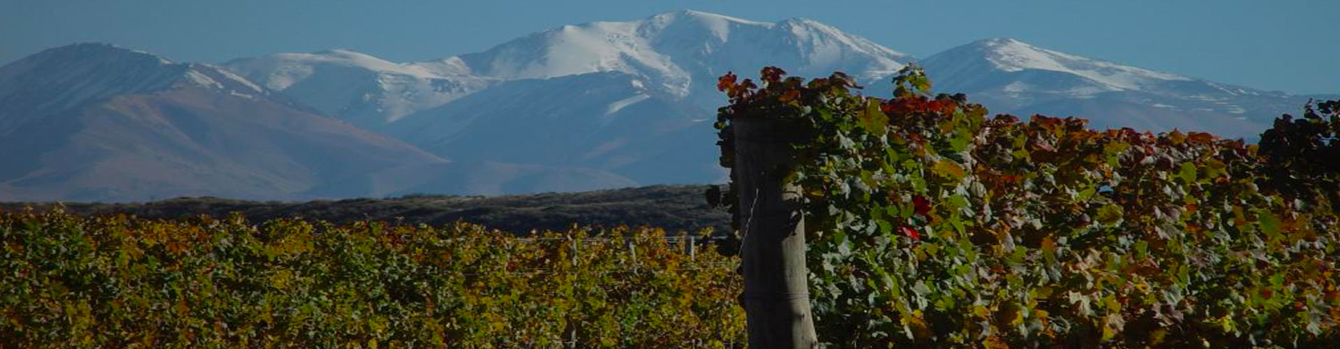 Bodegas CARO Vineyards by night in the Mendoza region of Argentina