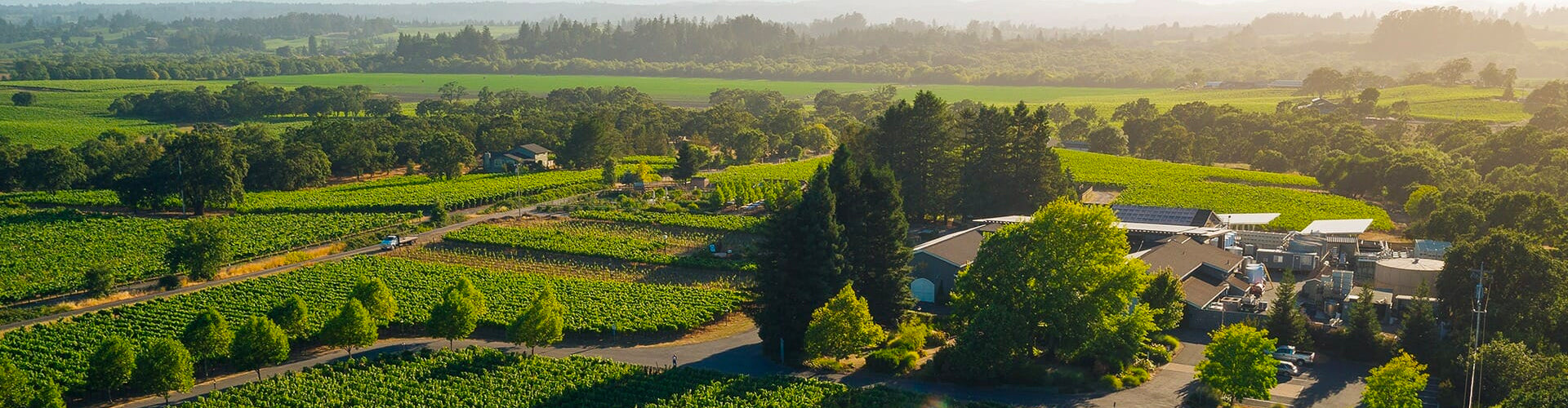 Arial shot of De Loach Winery & Vineyards in Sonoma County