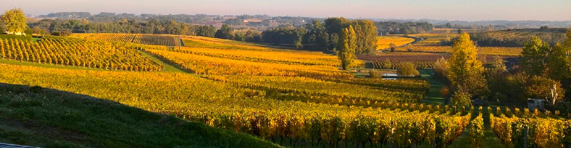 Château Valandraud Vineyards in Saint Émilion, Bordeaux