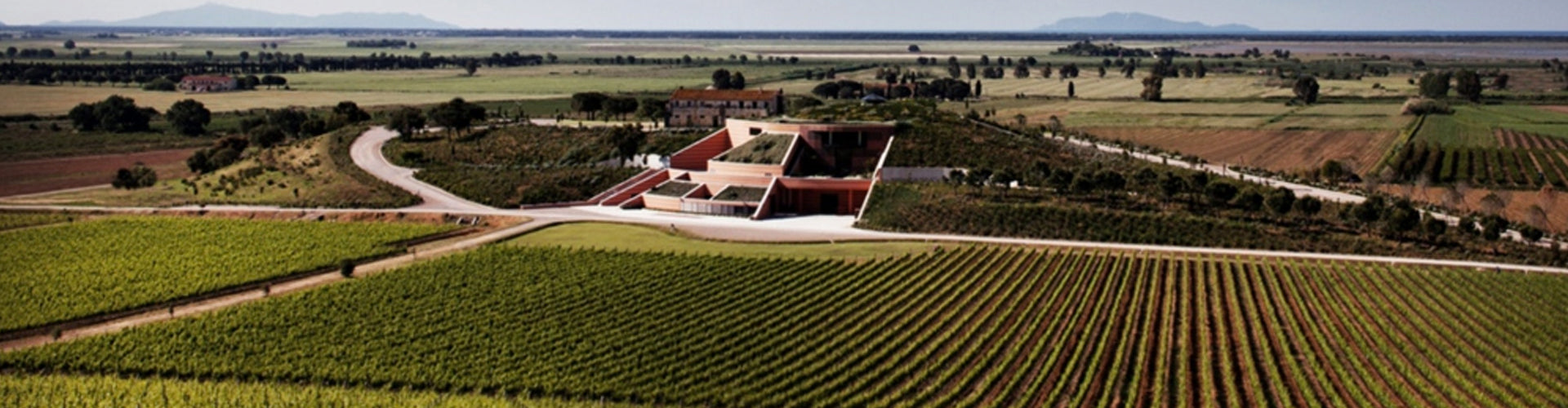 Antinori's Le Mortelle Winery and Vineyards in Maremma, Tuscany